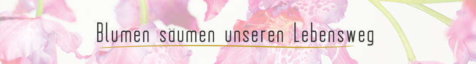 Blumen saeumen unseren Weg!