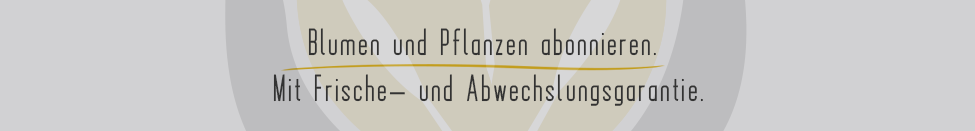 Blumen und Pflanzen abonnieren? Mit Frische- und Abwechslungsgarantie