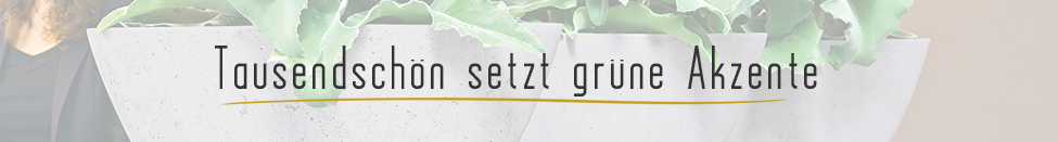 Tausendschön setzt grüne Akzente. Vom schlichten Strauß bis zur Objektbegrünung.